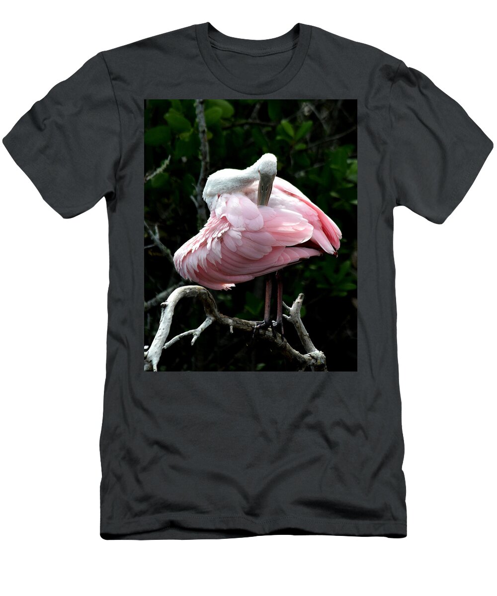 Roseate Spoonbill T-Shirt featuring the photograph Pretty in Pink #1 by Jim Bennight