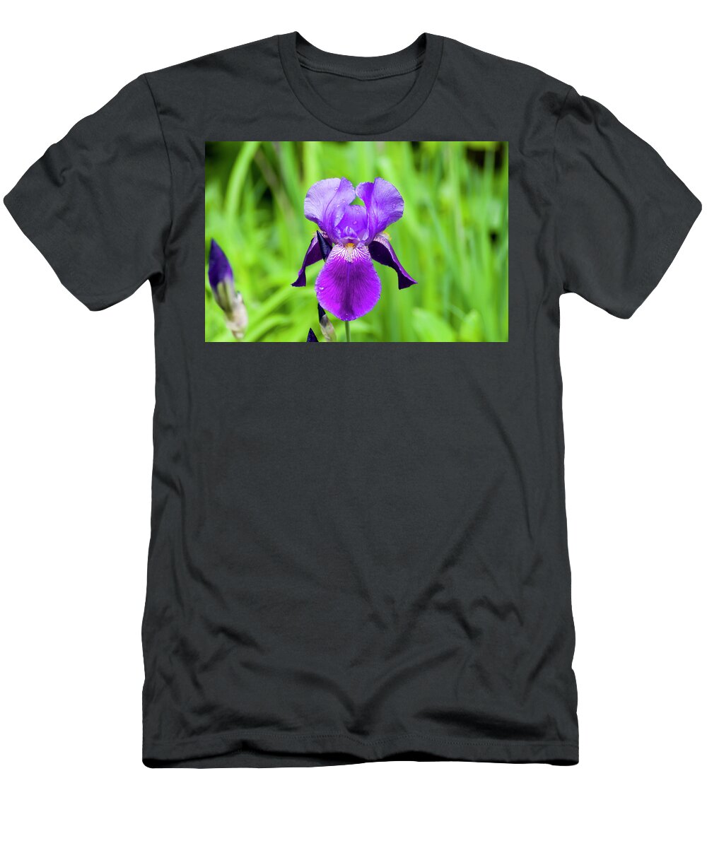 Scorpiris T-Shirt featuring the photograph Purple Bearded Iris #1 by Bob Corson