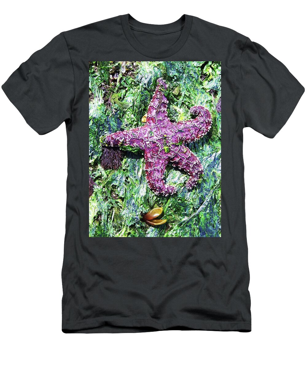 Sea Life T-Shirt featuring the photograph Purple Starfish #1 by Julie Rauscher