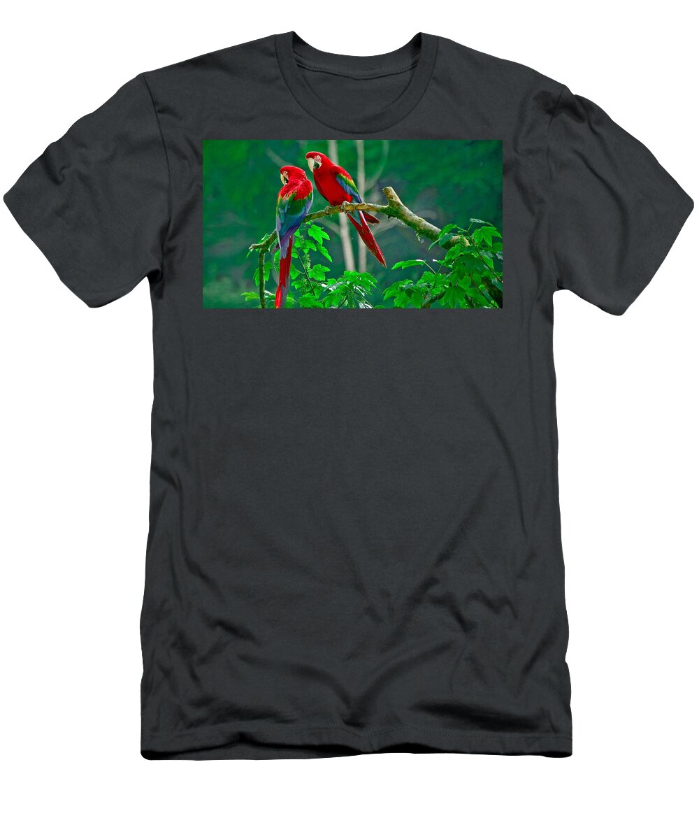 Red-and-green Macaw T-Shirt featuring the photograph Red-and-green Macaw #1 by Jackie Russo