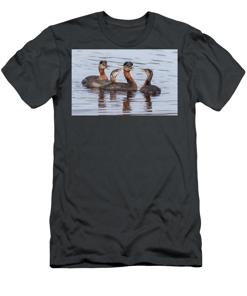 Grebe T-Shirt featuring the photograph Red Necked Grebe Family #1 by Dee Carpenter