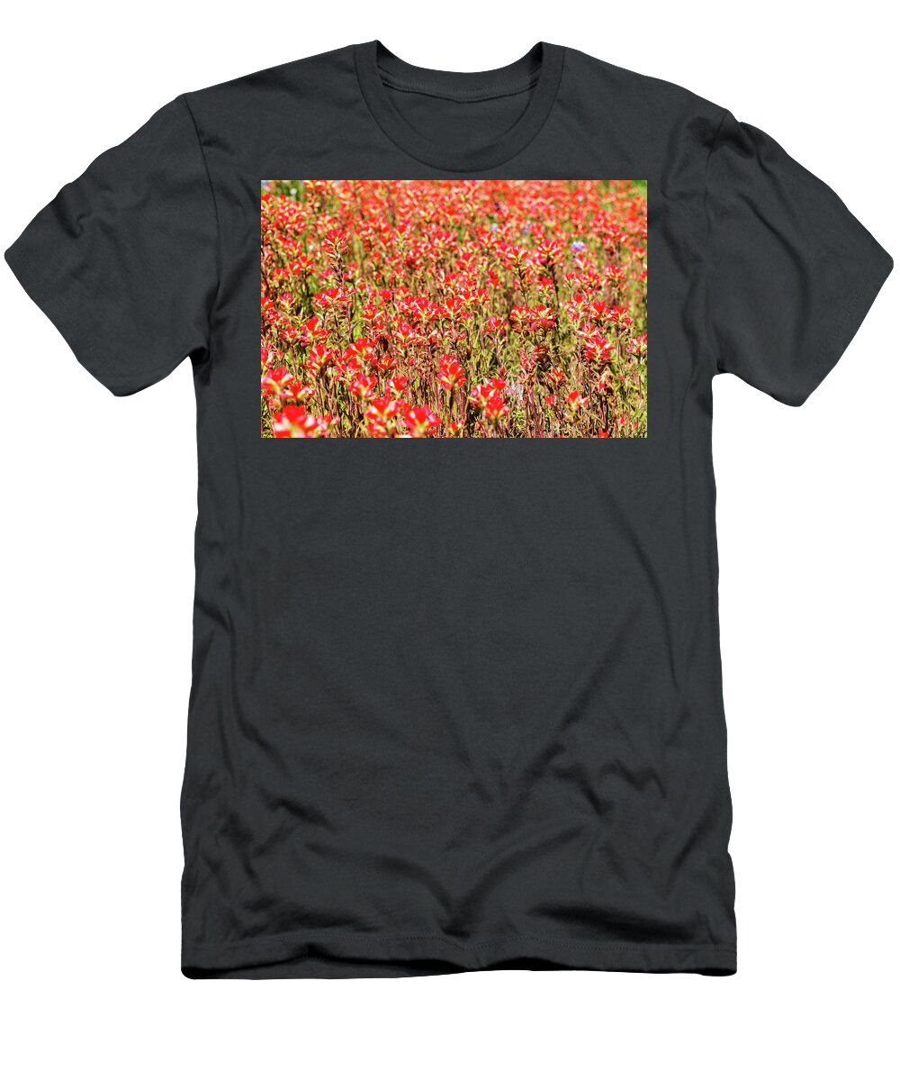 Austin T-Shirt featuring the photograph Red Texas Wildflowers #1 by Raul Rodriguez