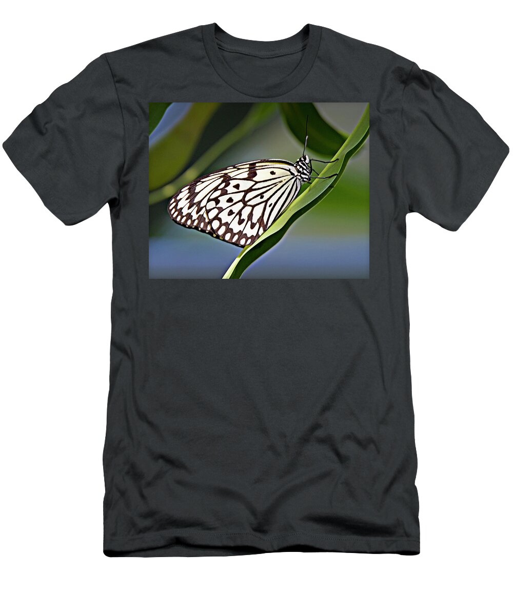 Butterfly T-Shirt featuring the photograph Rice Paper Butterfly 8 by Walter Herrit