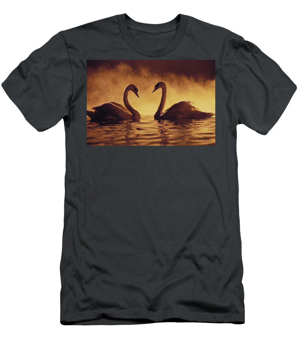 Afternoon T-Shirt featuring the photograph Romantic African Swans #1 by Brent Black - Printscapes