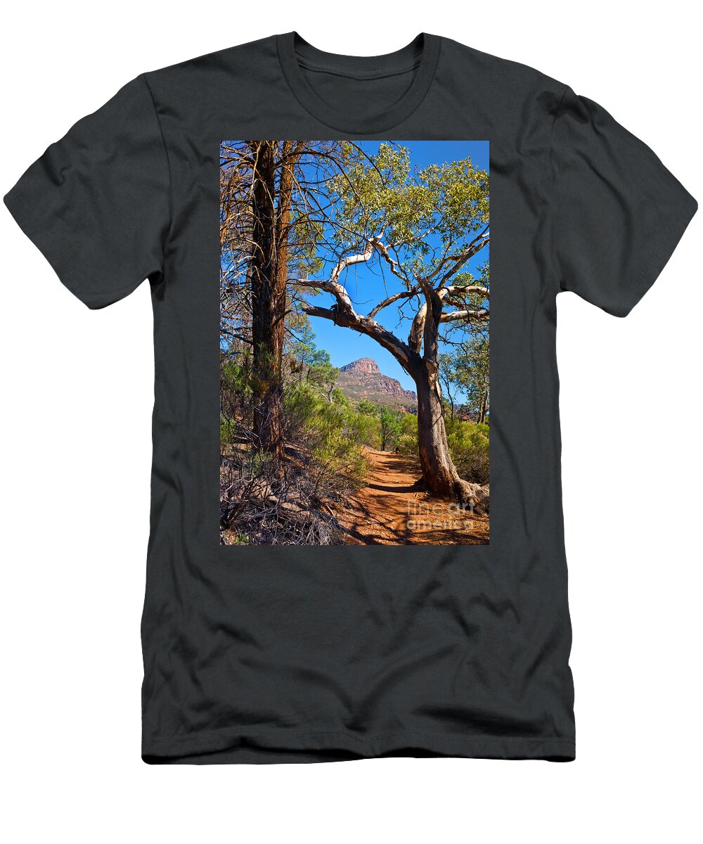 St Mary Peak Wilpena Pound Outback Landscape Landscapes South Australia Australian T-Shirt featuring the photograph St Mary Peak Wilpena Pound #2 by Bill Robinson
