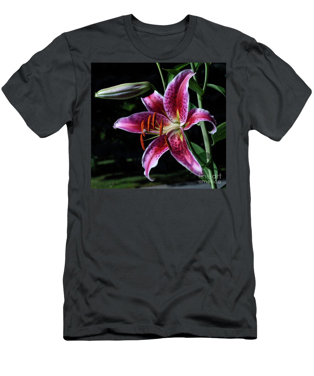 Lily T-Shirt featuring the photograph StarBright #3 by Doug Norkum