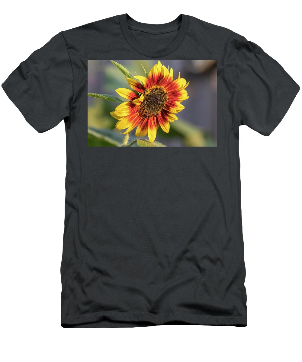 Sunflower T-Shirt featuring the photograph Sunflower 2018-1 by Thomas Young