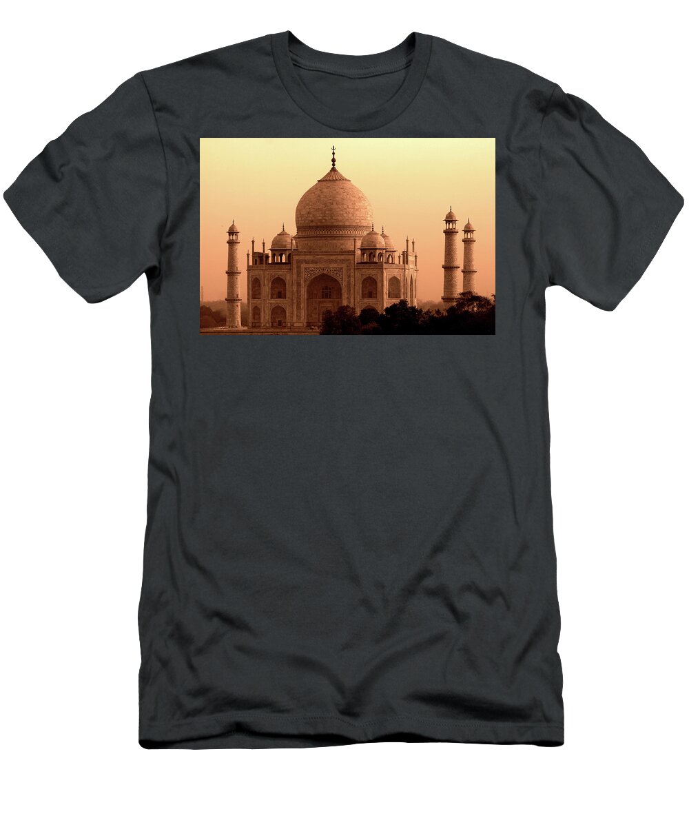 Taj Mahal T-Shirt featuring the photograph Taj Mahal #2 by Aidan Moran