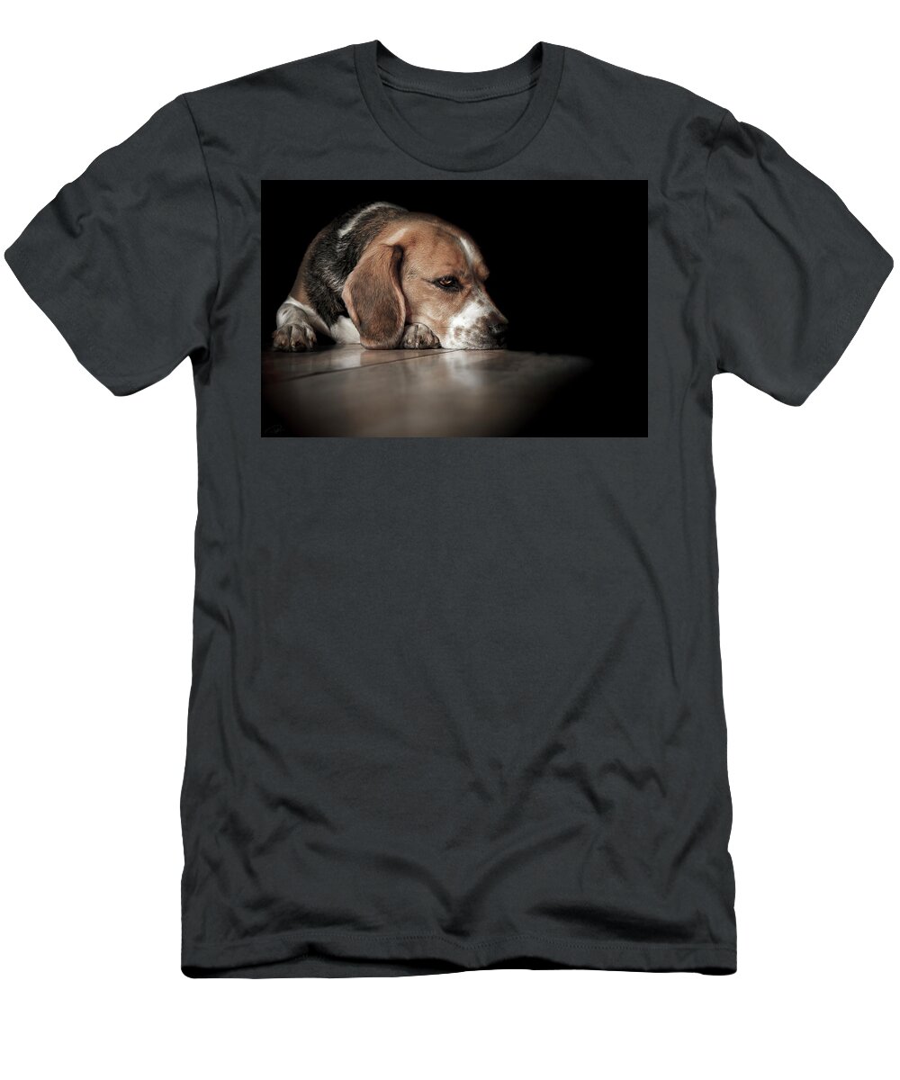 Beagle T-Shirt featuring the photograph The Day Dreamer #1 by Paul Neville