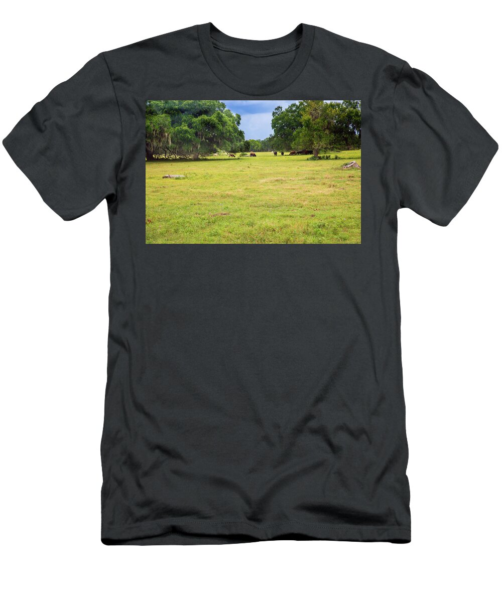 Cows T-Shirt featuring the photograph The Meadow by Judy Wright Lott