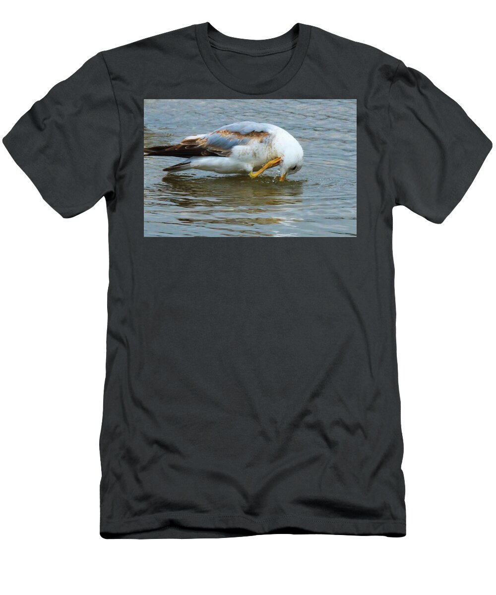 Seagull T-Shirt featuring the photograph Time for a Bath #1 by Travis Rogers