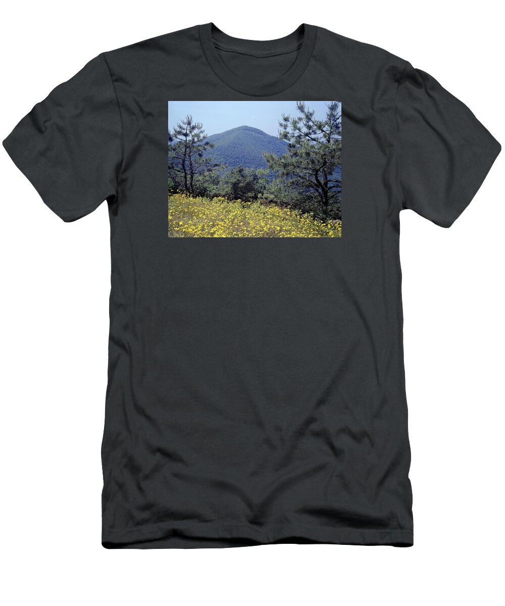 Turk Mountain T-Shirt featuring the photograph 143419-Turk Mountain Overlook by Ed Cooper Photography