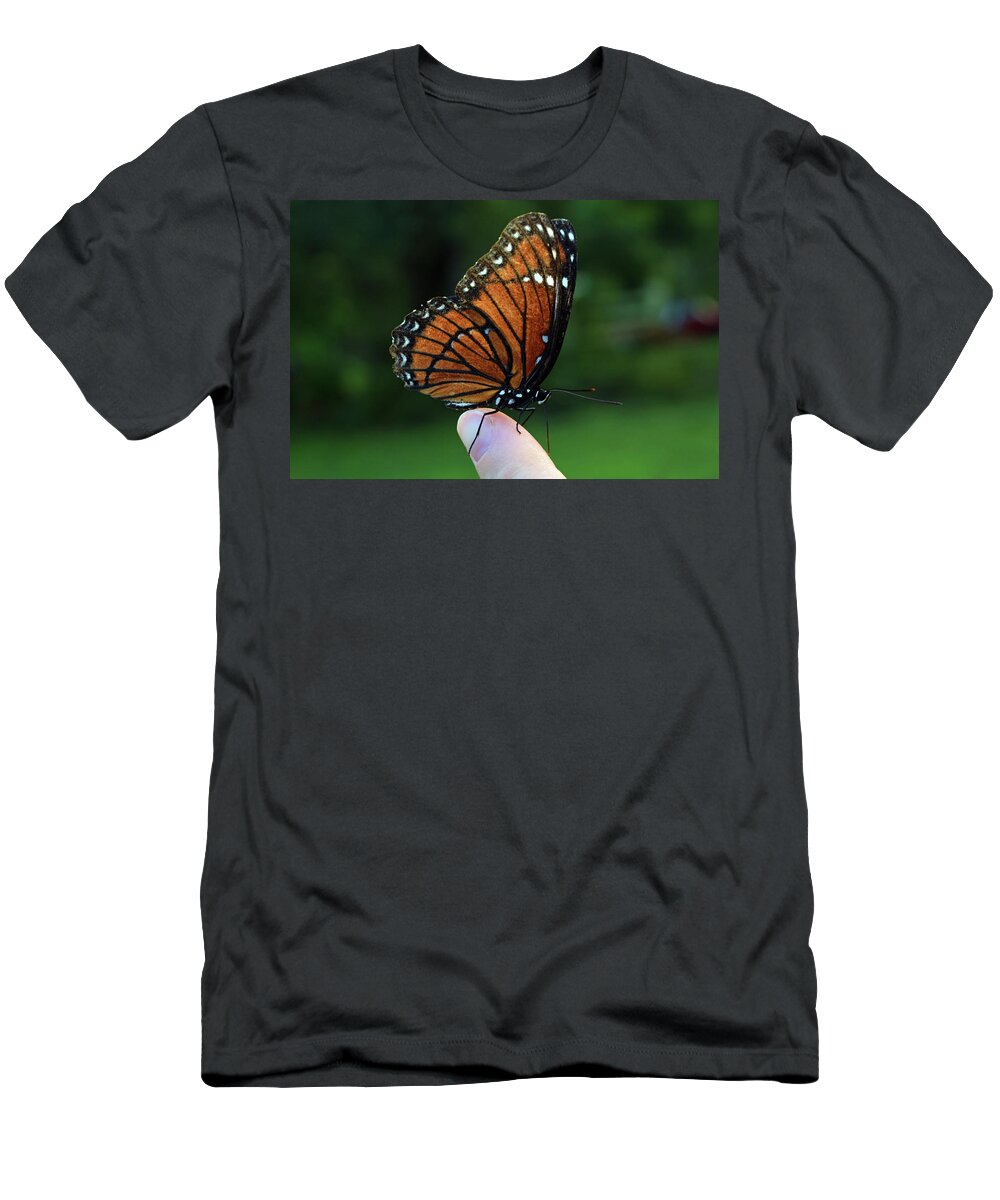 Photograph T-Shirt featuring the photograph Viceroy Butterfly #1 by Larah McElroy
