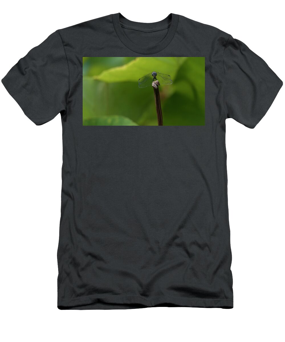Dragonfly T-Shirt featuring the photograph Vigilance by Holly Ross