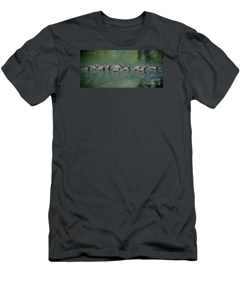Wood Duck T-Shirt featuring the photograph Wood Ducklings Swimming #1 by Cheryl Baxter