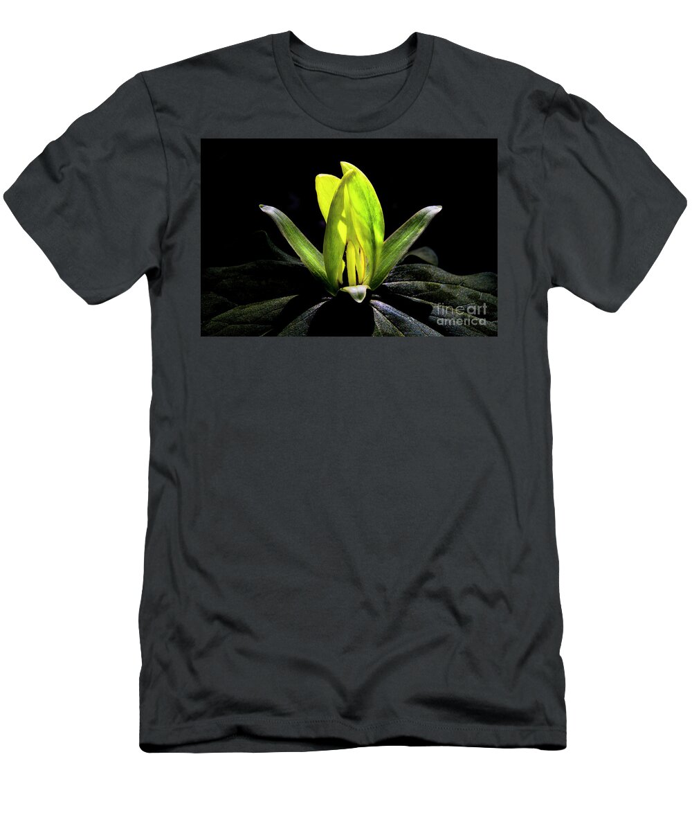 Yellow Trillium T-Shirt featuring the photograph Yellow Trillium #1 by Barbara Bowen