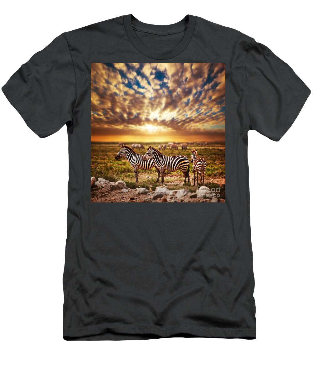 Africa T-Shirt featuring the photograph Zebras herd on African savanna at sunset. #1 by Michal Bednarek