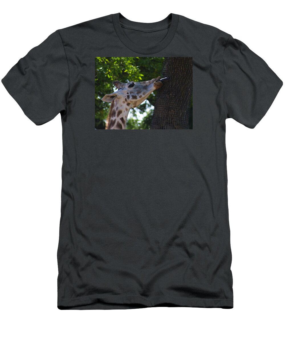Zoo T-Shirt featuring the photograph Zoo Scapes #10 by Jean Wolfrum
