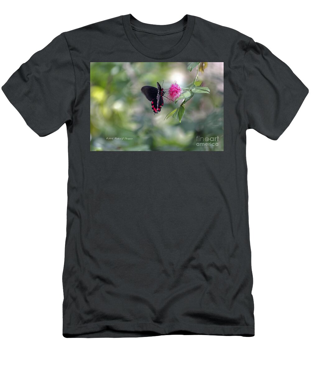 Butterfly Wonderland T-Shirt featuring the photograph Butterfly #4 by Richard J Thompson