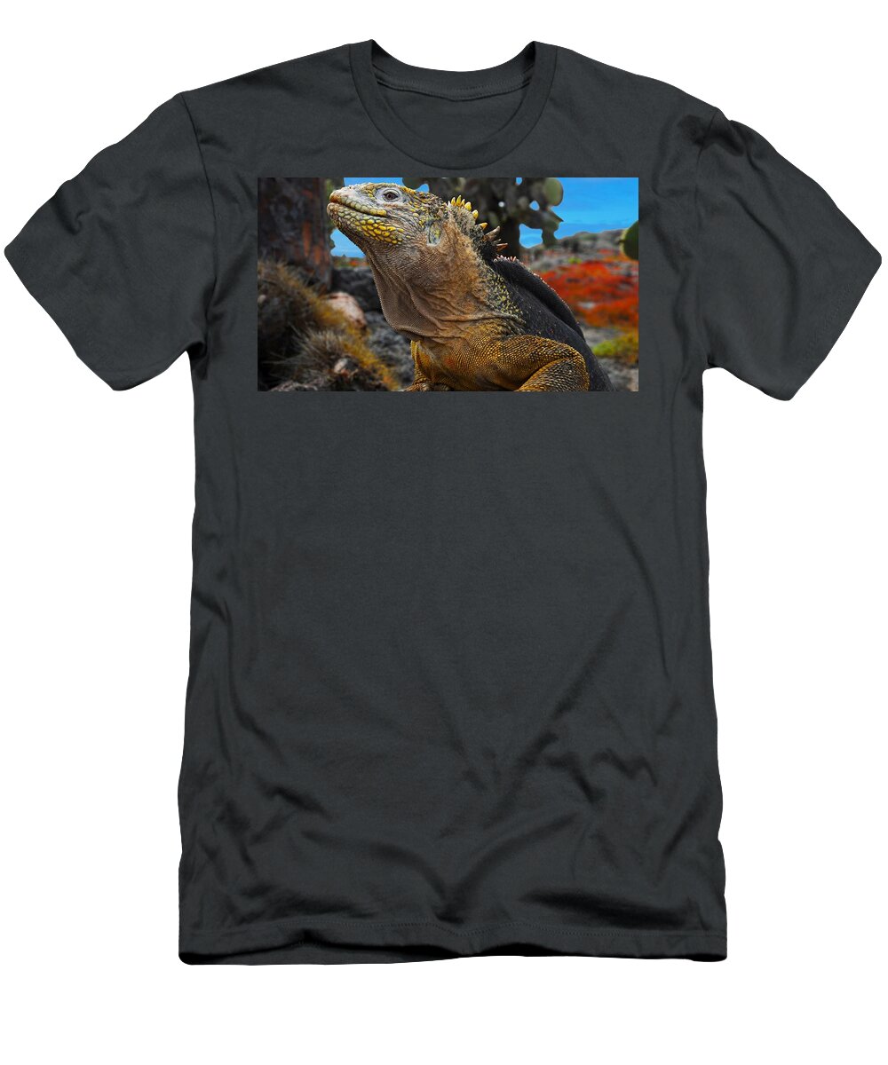 Iguana T-Shirt featuring the photograph Iguana #11 by Jackie Russo