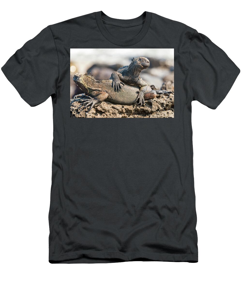 Marine Iguana T-Shirt featuring the photograph Marine Iguana on Galapagos Islands #11 by Marek Poplawski