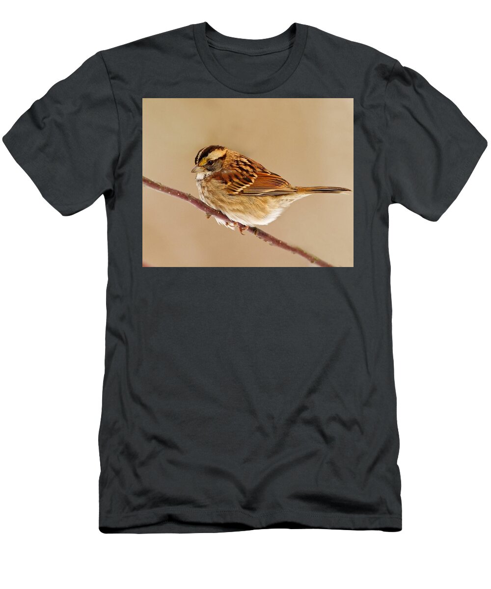 Bird T-Shirt featuring the photograph Bird #115 by Jackie Russo