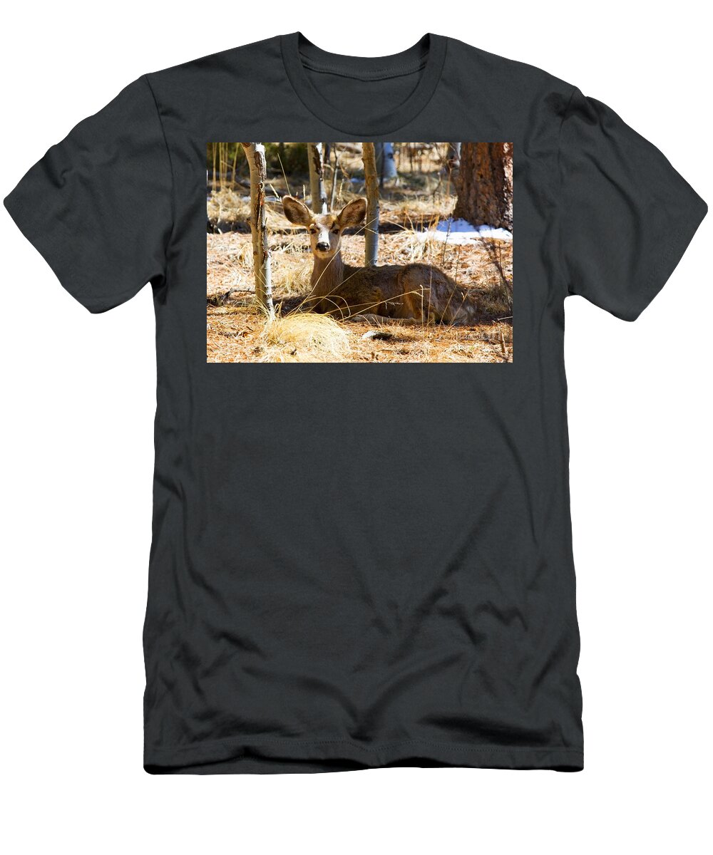 Deer T-Shirt featuring the photograph Mule Deer in the Pike National Forest #12 by Steven Krull