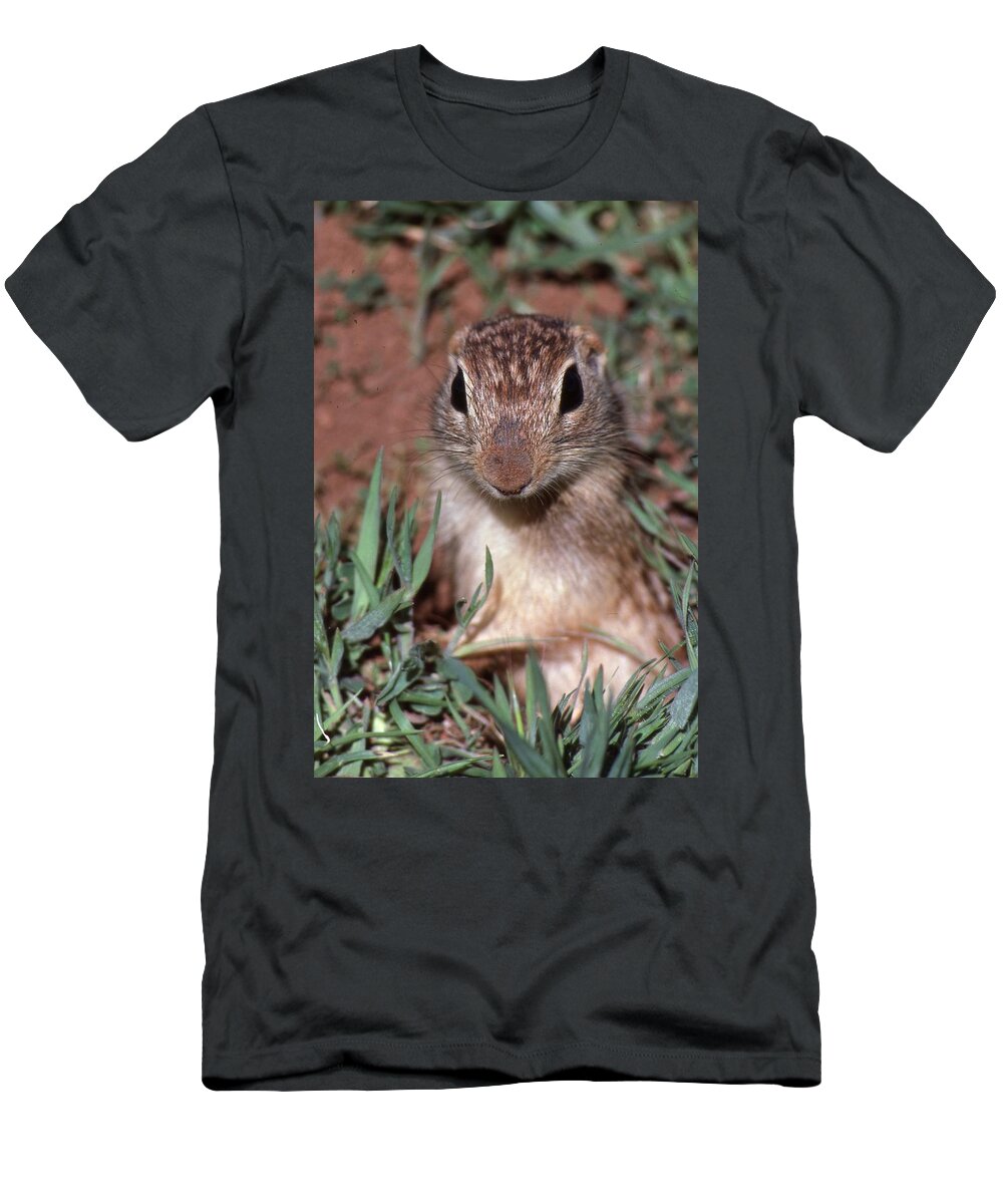 Ground Squirrel T-Shirt featuring the photograph I'm Too Cute by Buck Buchanan