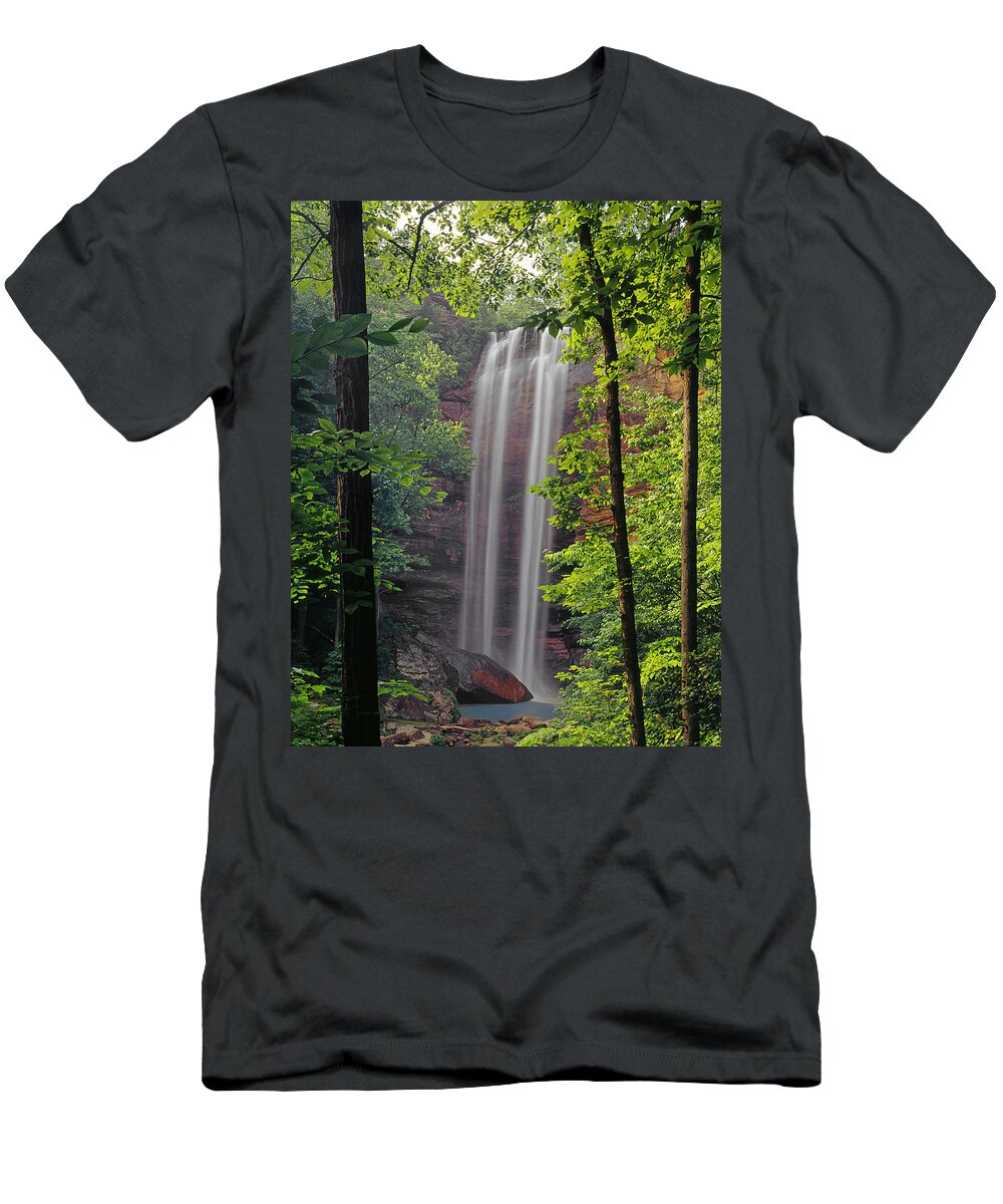  T-Shirt featuring the photograph 148115-Toccoa Falls, GA by Ed Cooper Photography