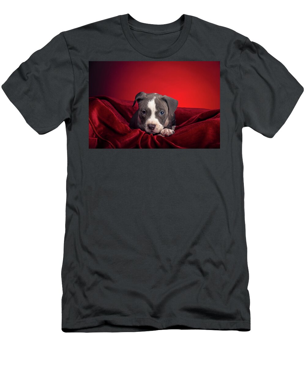 Adorable T-Shirt featuring the photograph American Pitbull Puppy #15 by Peter Lakomy