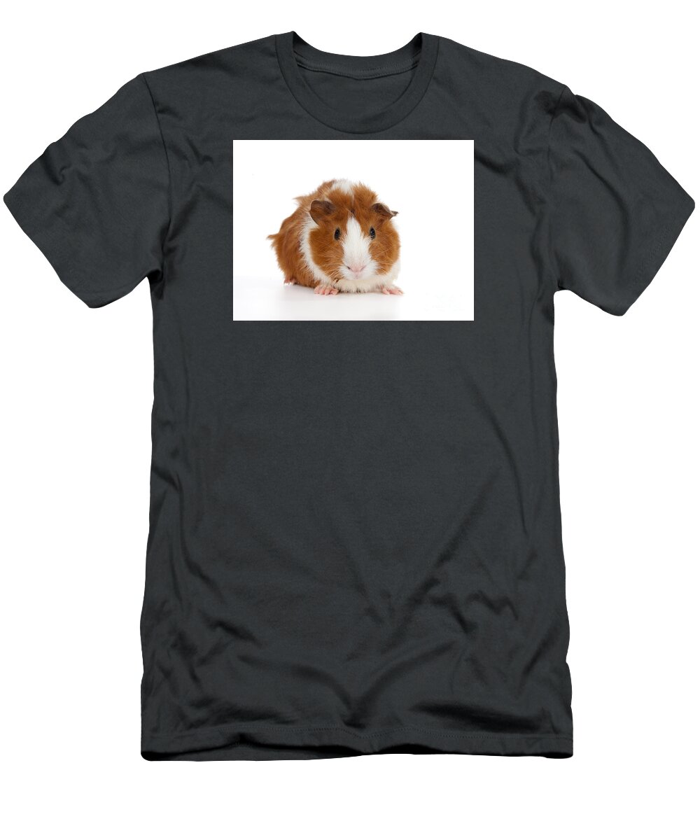 Abyssinian Guinea Pig T-Shirt featuring the photograph Abyssinian Guinea Pig #2 by Anthony Totah