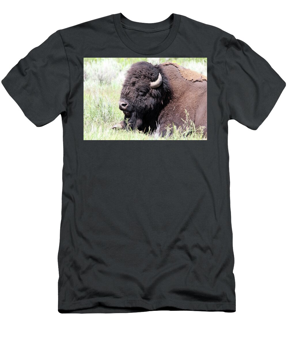 American Bison T-Shirt featuring the photograph American Bison Yellowstone USA #2 by Bob Savage
