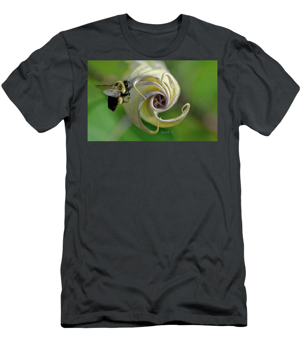 Angel Trumpet T-Shirt featuring the photograph Angel Trumpet #2 by Diane Giurco