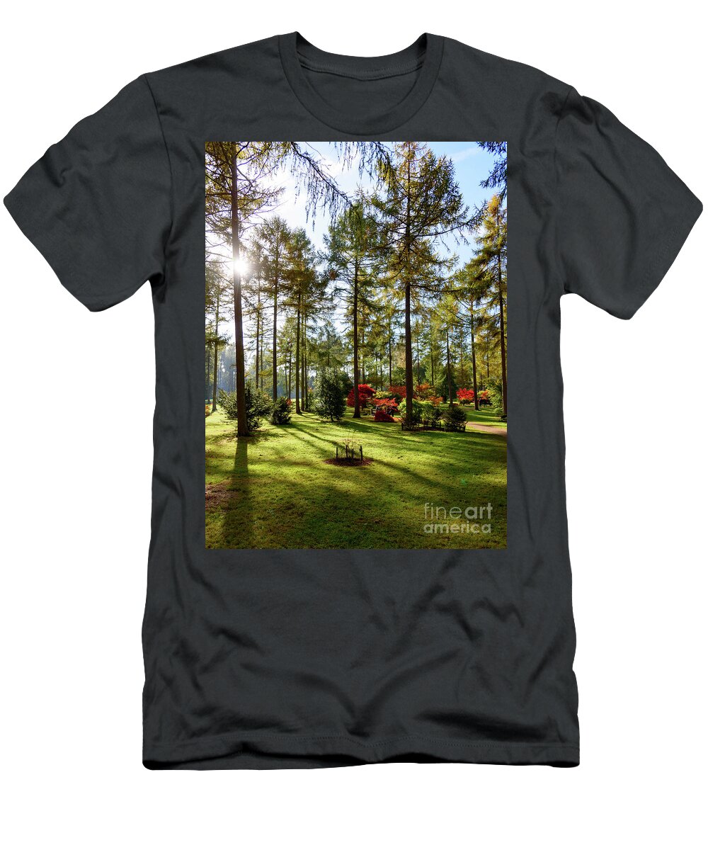 Autumn T-Shirt featuring the photograph Autumn in the park by Colin Rayner