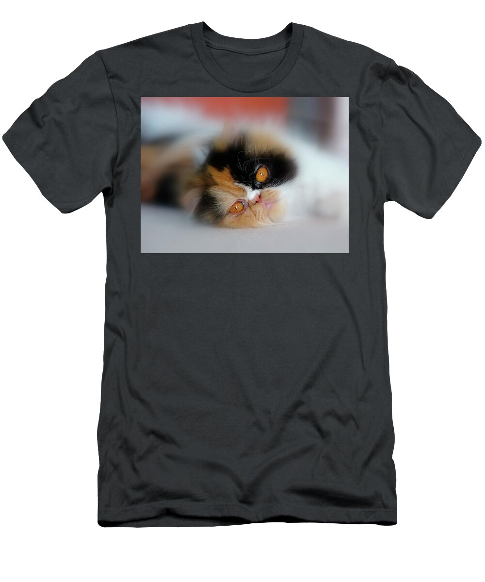 Cat. Calico. Pet. Animal. Life. Feline. T-Shirt featuring the photograph Cali Eyes #2 by Rhonda McDougall