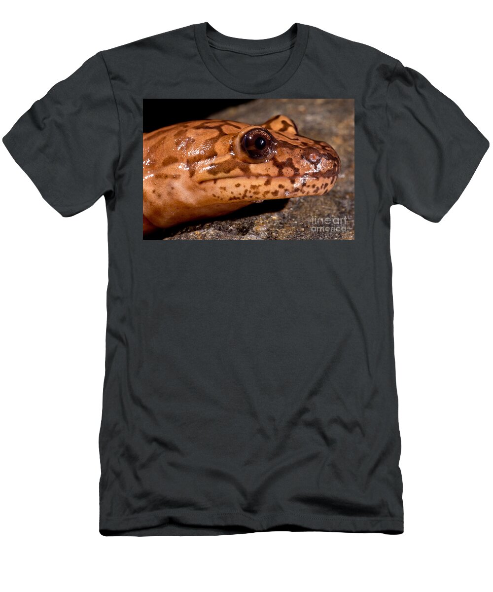 California Giant Salamander T-Shirt featuring the photograph California Giant Salamander #2 by Dant Fenolio