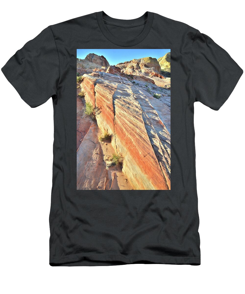 Valley Of Fire State Park T-Shirt featuring the photograph Colorful Wave of Sandstone in Valley of Fire #3 by Ray Mathis