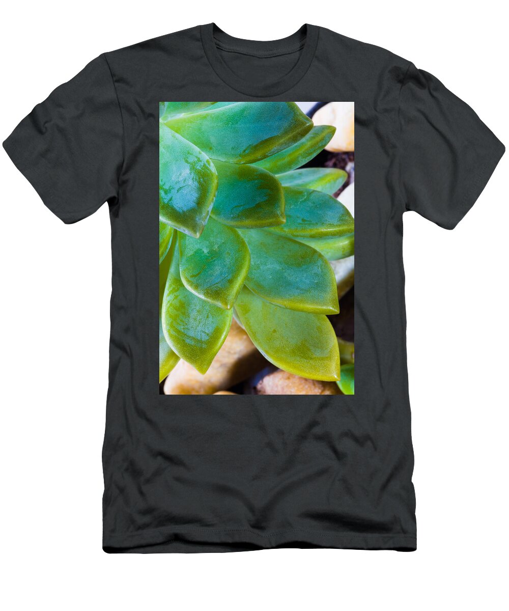 Beautiful T-Shirt featuring the photograph Blue Pearl Plant by Raul Rodriguez