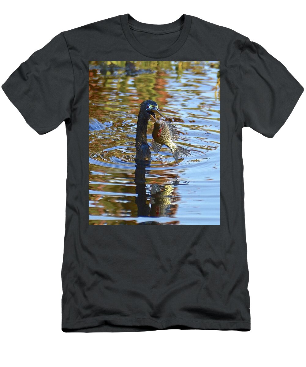 Anhinga T-Shirt featuring the photograph Fish, It's What's For Dinner #2 by Carol Bradley