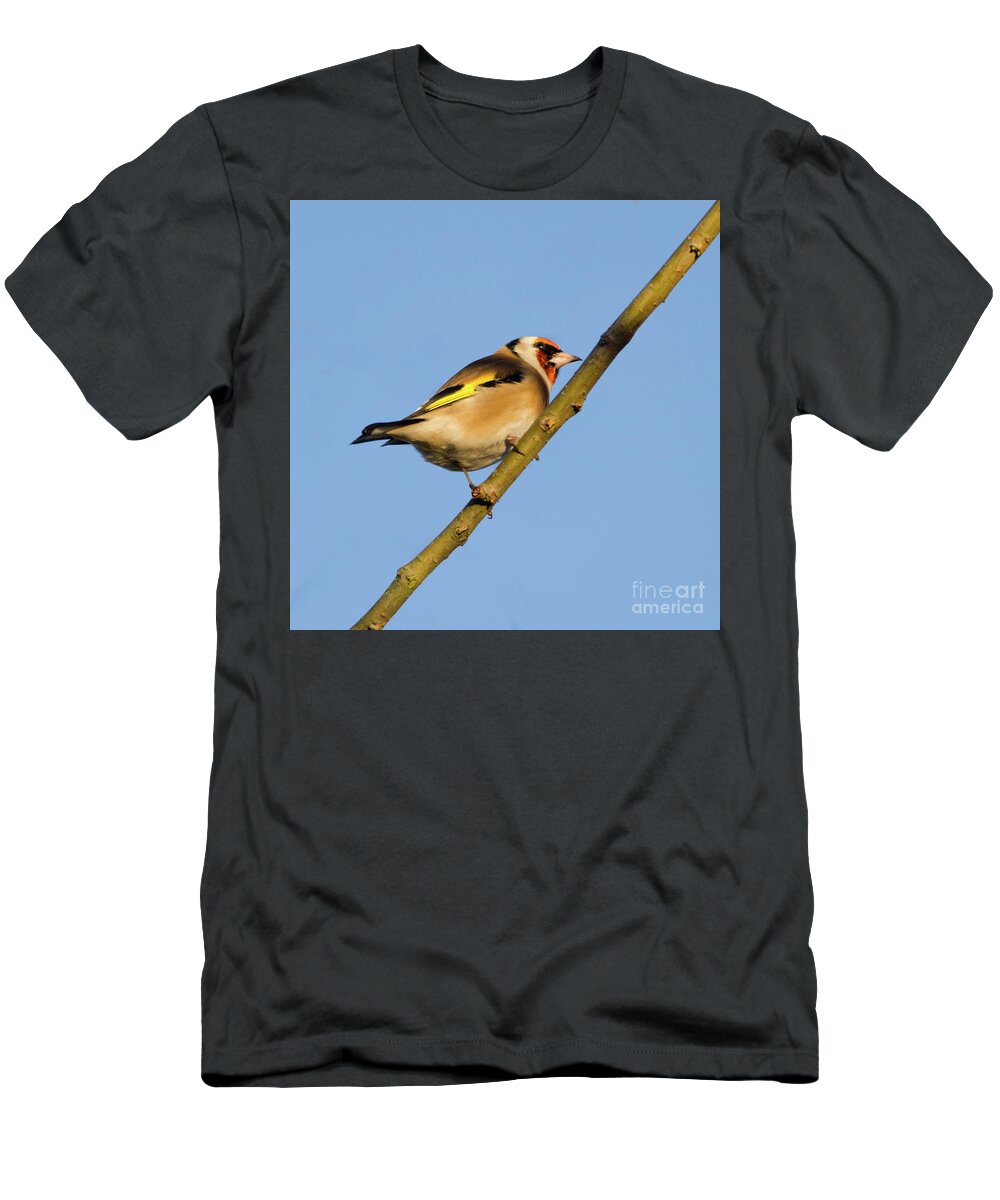 Goldfinch T-Shirt featuring the photograph Goldfinch #2 by Steev Stamford