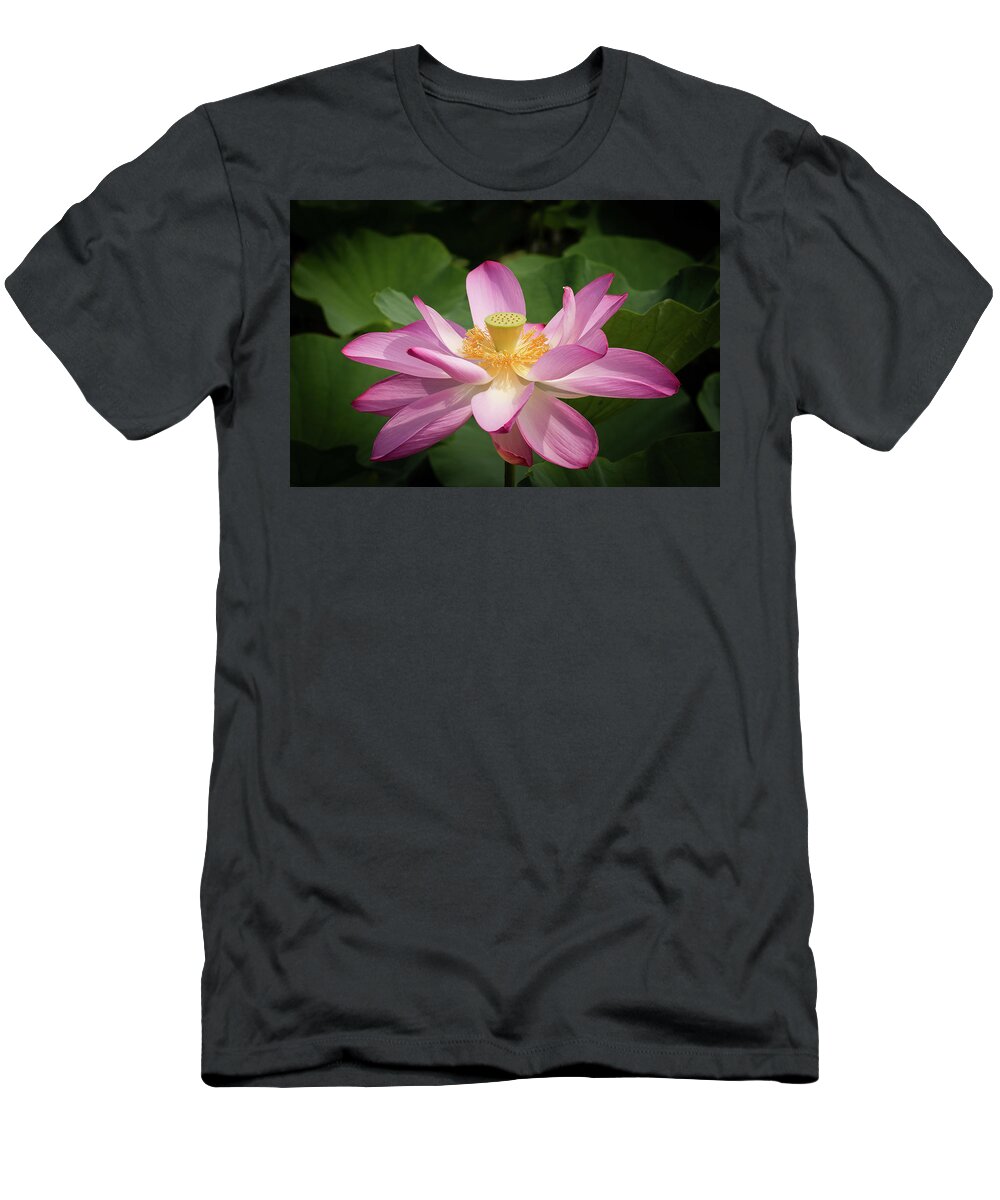 Flower T-Shirt featuring the photograph Lotus #2 by Richard Macquade
