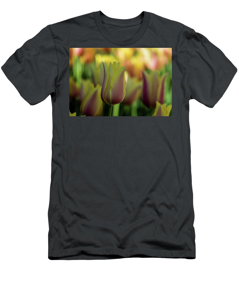 Jay Stockhaus T-Shirt featuring the photograph Pink and Yellow #2 by Jay Stockhaus