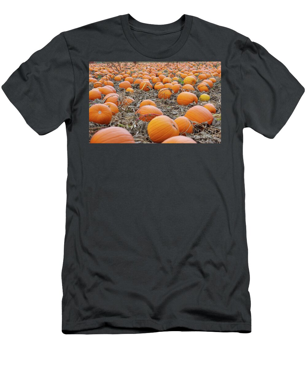 Farm T-Shirt featuring the photograph Pumpkin Patch #2 by Bruce Block