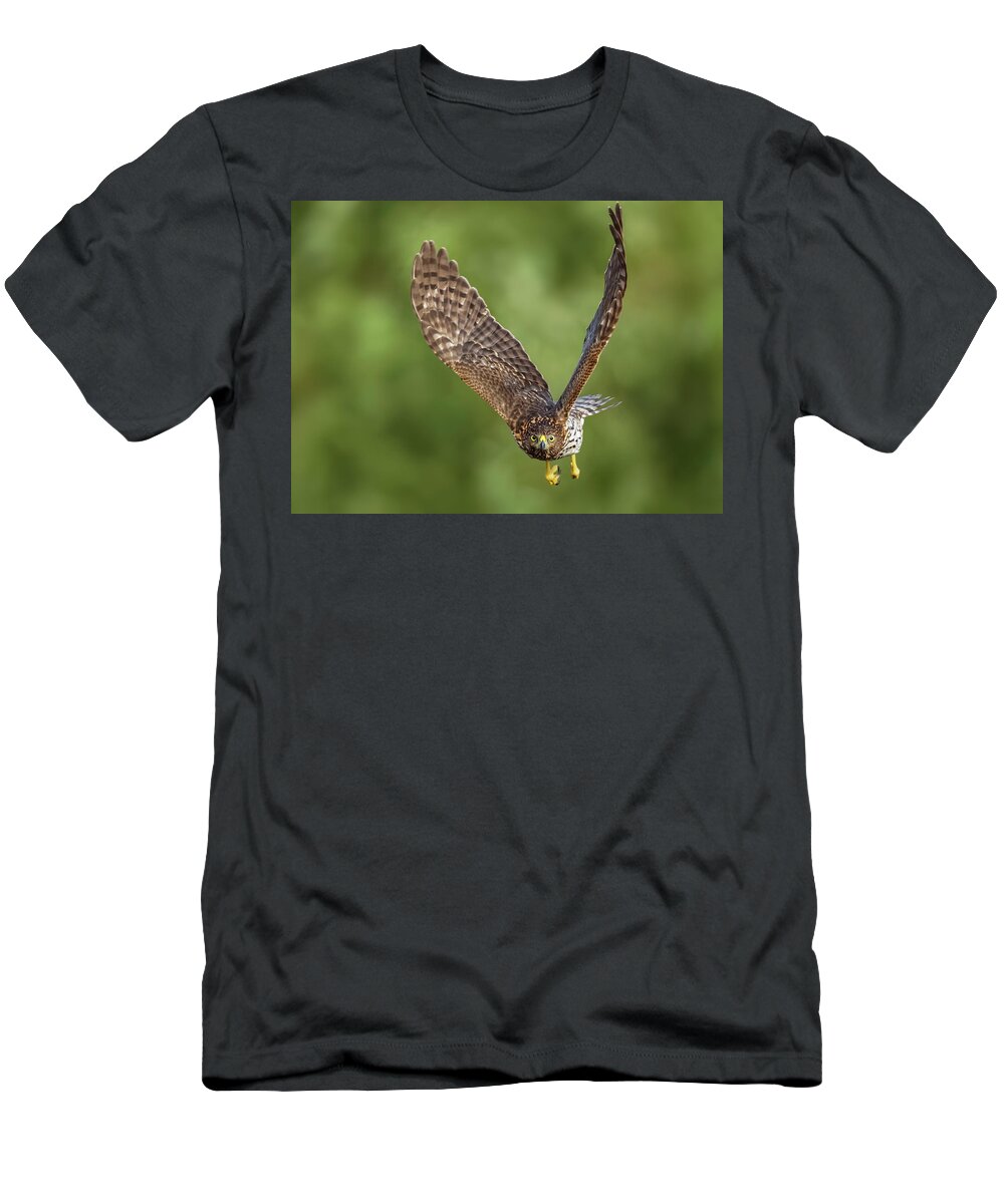 Amelia Island T-Shirt featuring the photograph Red-Tailed Hawk #2 by Peter Lakomy