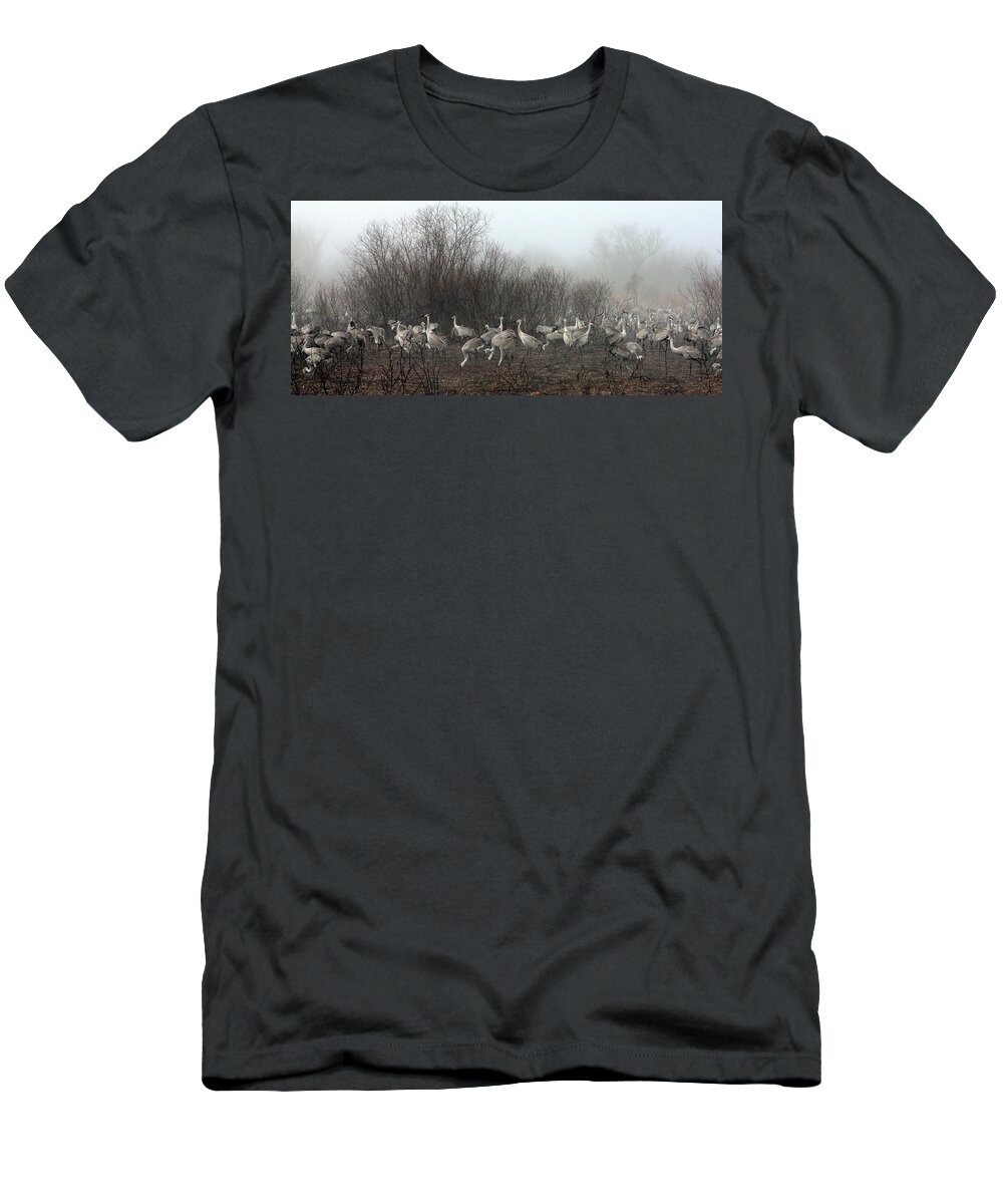 Cranes T-Shirt featuring the photograph Sandhill Cranes and the Fog by Farol Tomson