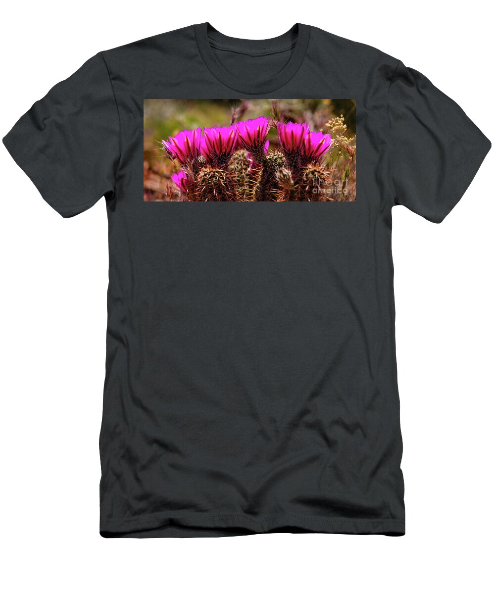 Arizona T-Shirt featuring the photograph Sedona Cactus Flower #2 by Raul Rodriguez