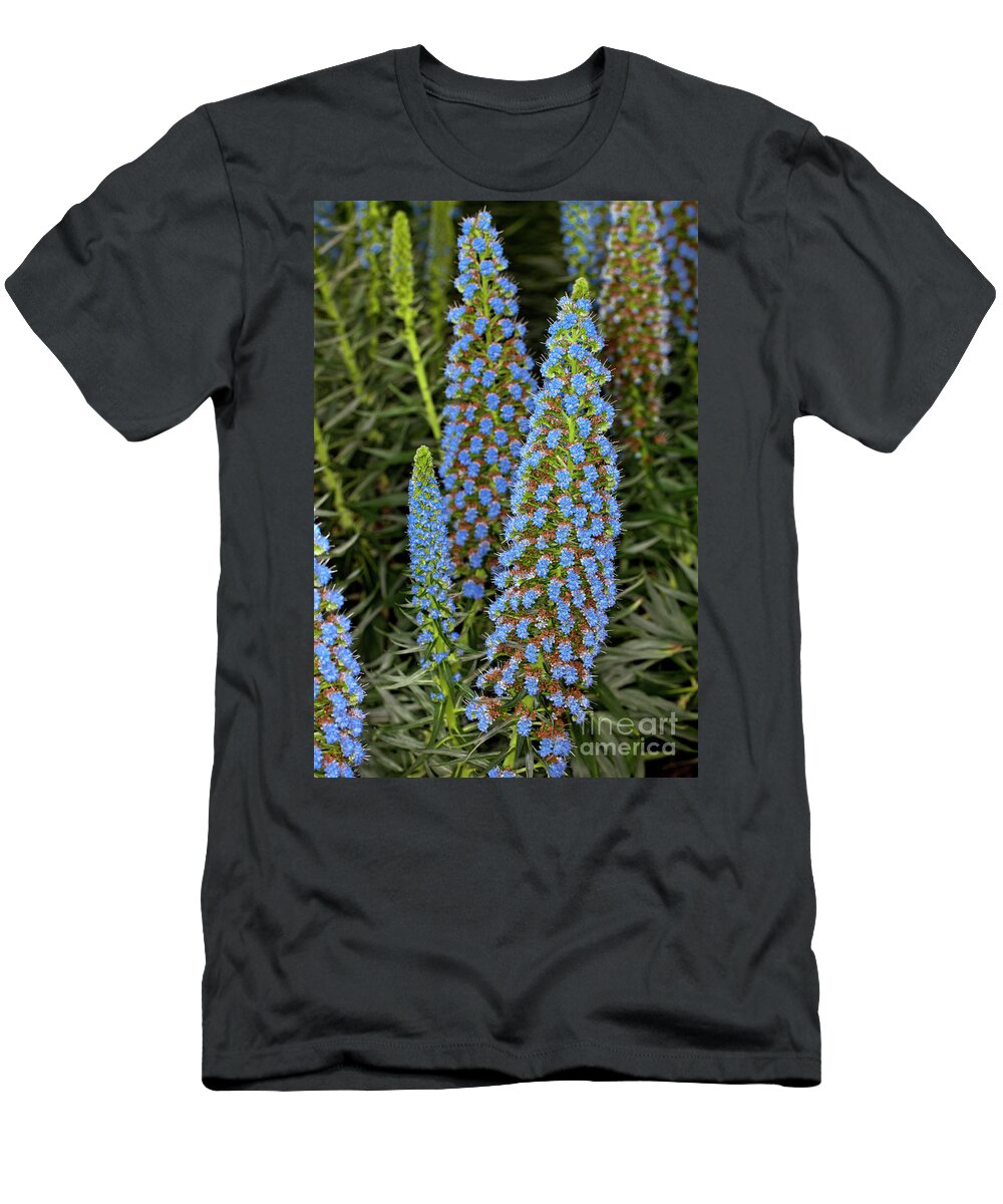 Echium Candicans T-Shirt featuring the photograph Select Blue Pride-of-Madeira #2 by Anthony Totah