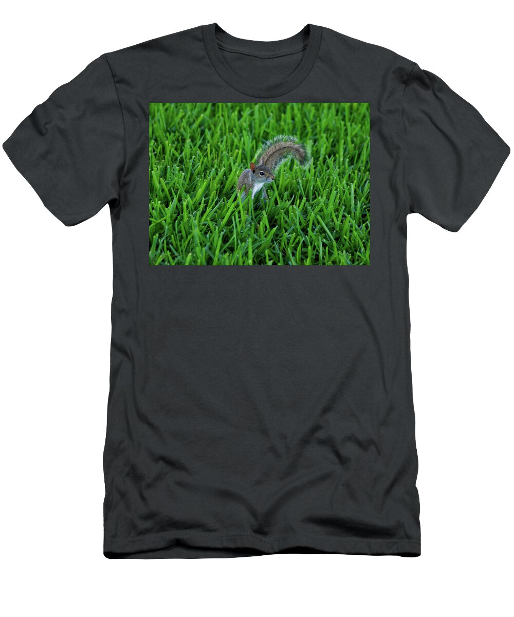 Squirrel T-Shirt featuring the photograph 2- Squirrel by Joseph Keane