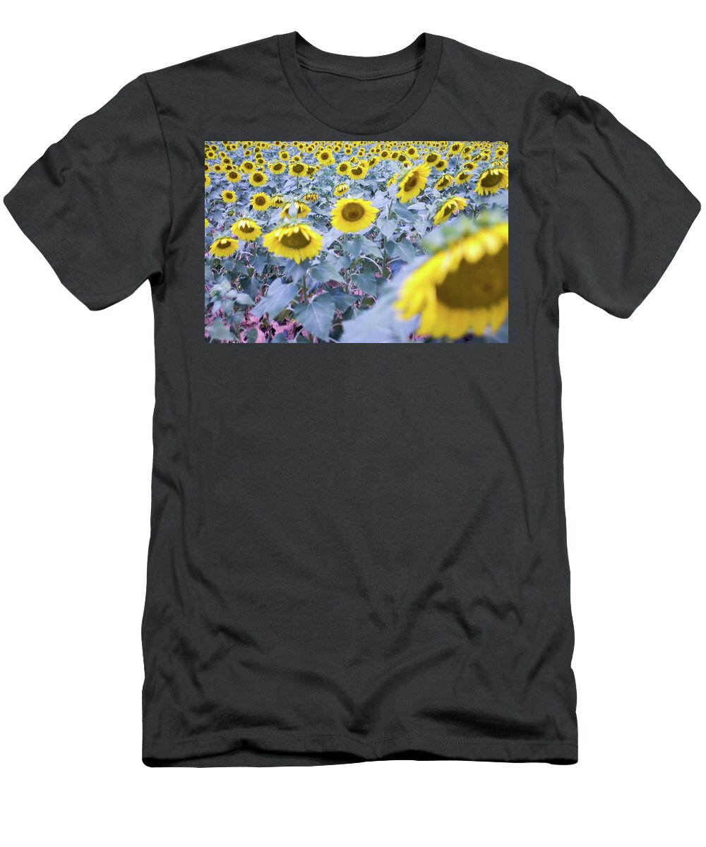 Closeup T-Shirt featuring the photograph Sunflower Farm Field Landscape In South Carolina #2 by Alex Grichenko