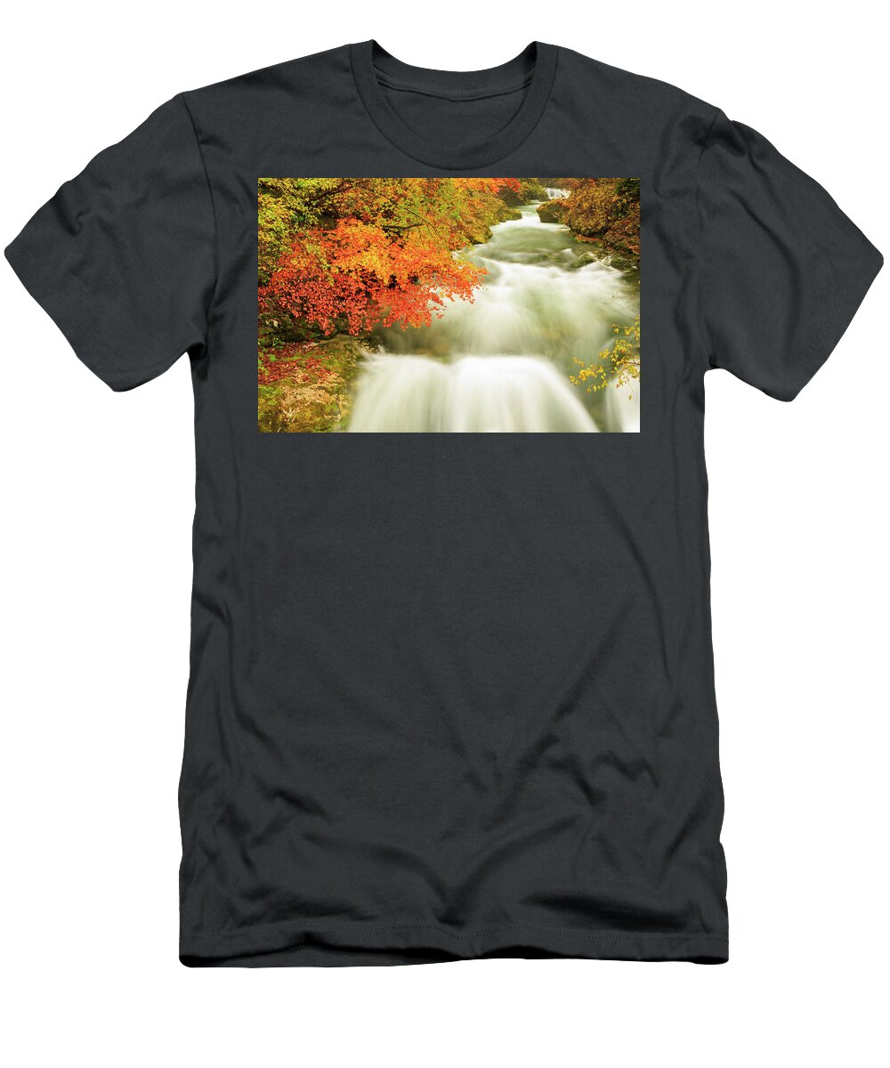 Soteska T-Shirt featuring the photograph The Soteska Vintgar gorge in Autumn by Ian Middleton